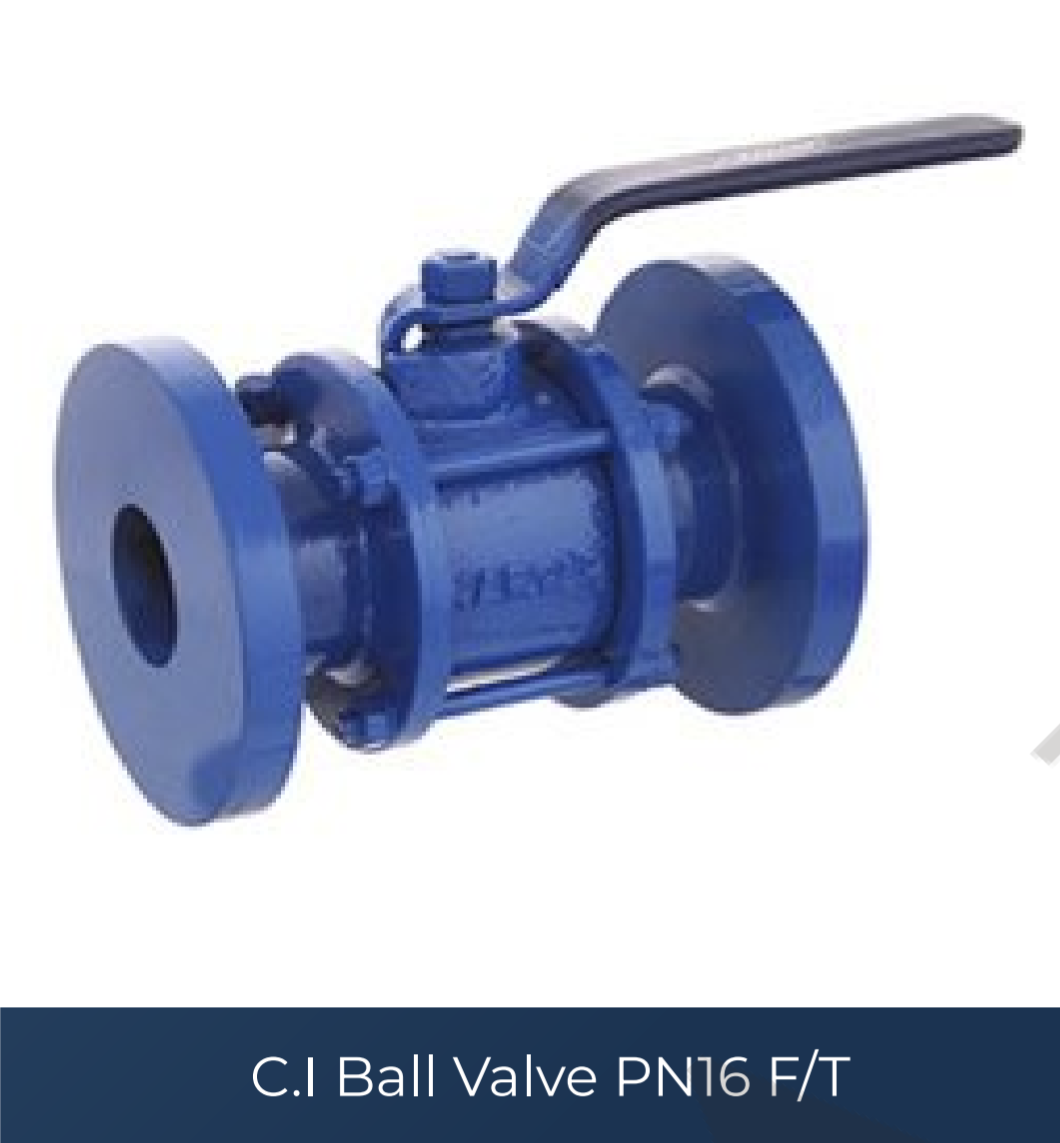 1000168244 1000168244