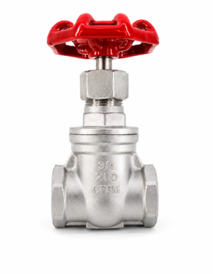 s.s. gate valve 200#