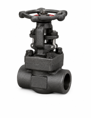 f.s. globe valve 800#