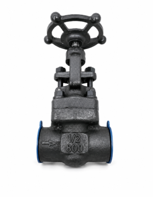 f.s. gate valve 800#