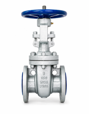 c.s. gate valve f/t