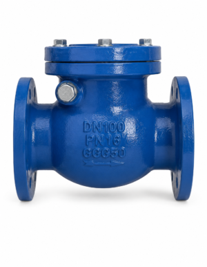 c.i ball valve pn16 f/t