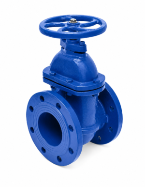 c.i ball valve pn16 f/t