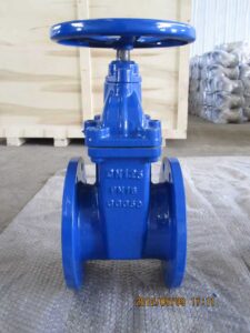 whatsapp image 2026 03 07 at 11.26.33 am