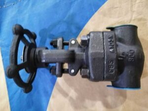 whatsapp image 2026 03 10 at 12.55.09 pm