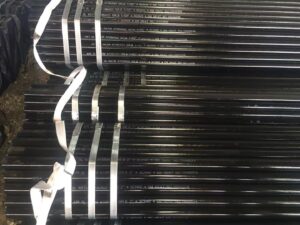 whatsapp image 2026 03 10 at 12.56.00 pm