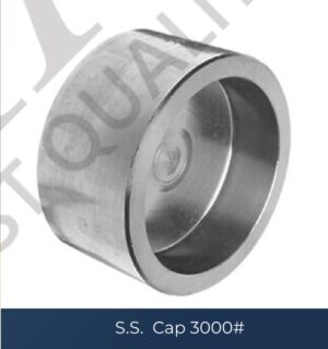 whatsapp image 2026 03 25 at 10.48.22 pm (1)